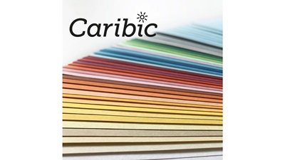 Farbiges Papier (FSC®) 250g/m² - DIN A4 / grün